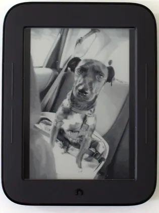 Barnes & Noble NOOK Simple Touch